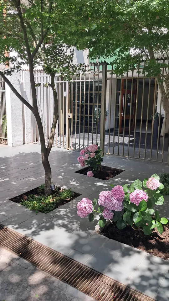 Foto 1 de 19: trabajo de jardinería en un condominio