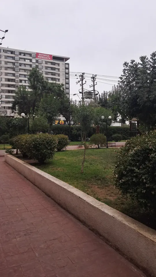 Foto 4 de 19: trabajo de jardinería en un condominio