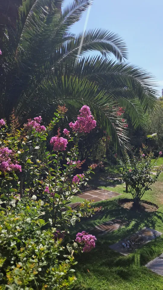 Foto 6 de 19: trabajo de jardinería en un condominio
