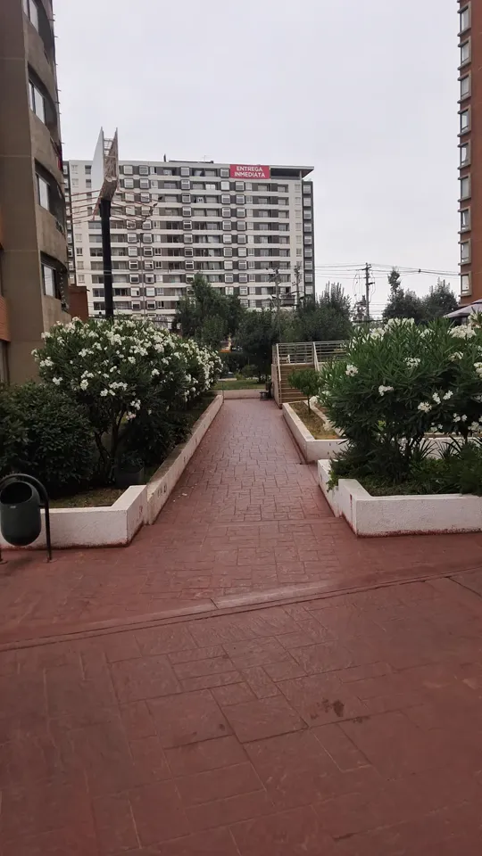 Foto 7 de 19: trabajo de jardinería en un condominio