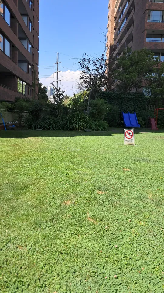 Foto 8 de 19: trabajo de jardinería en un condominio