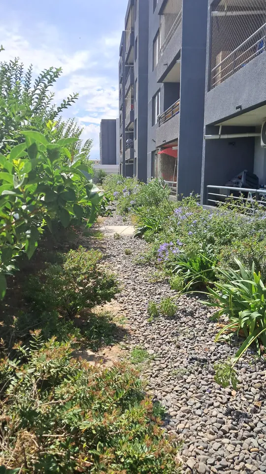 Foto 9 de 19: trabajo de jardinería en un condominio