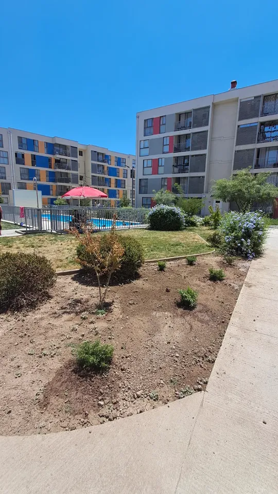 Foto 10 de 19: trabajo de jardinería en un condominio
