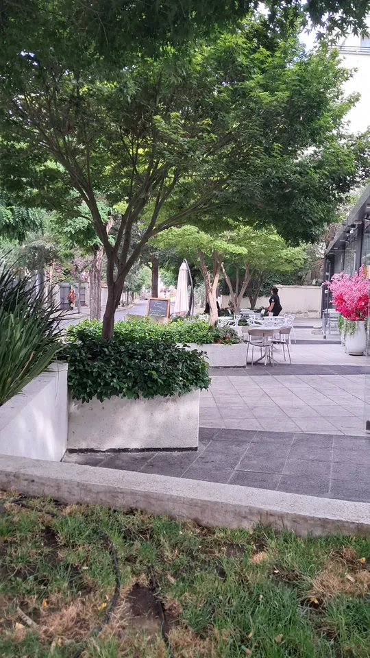 Foto 11 de 19: trabajo de jardinería en un condominio