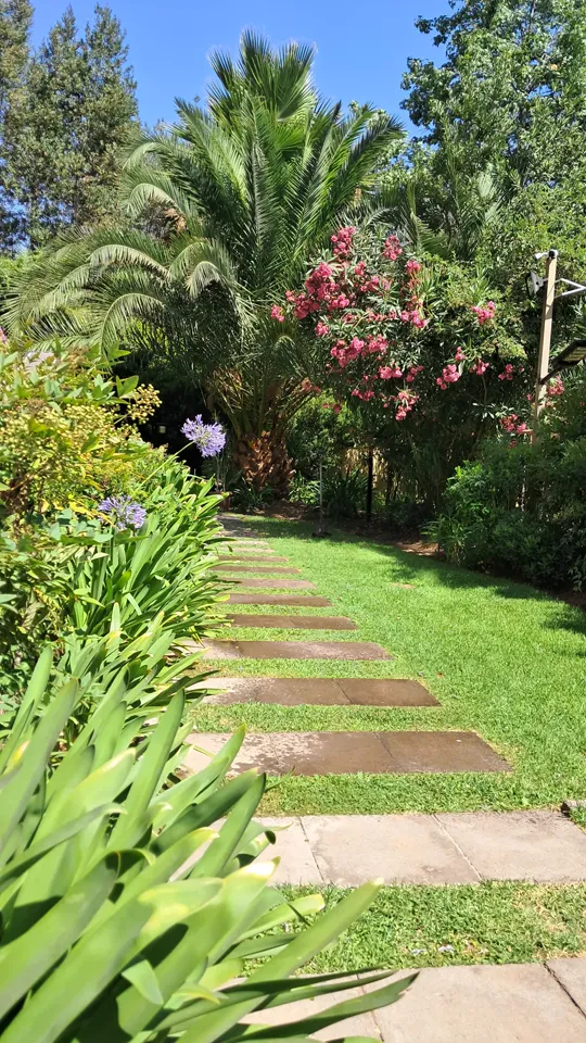 Foto 12 de 19: trabajo de jardinería en un condominio