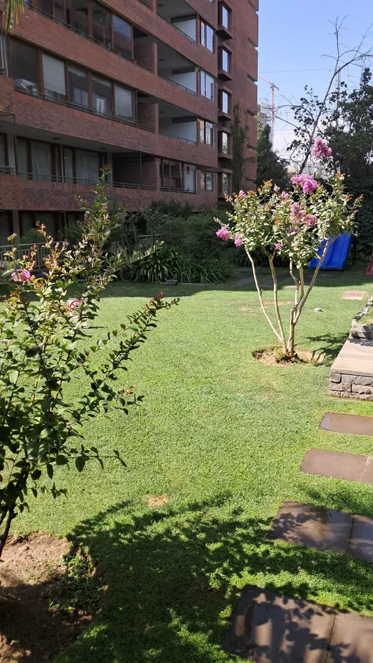 Foto 14 de 19: trabajo de jardinería en un condominio