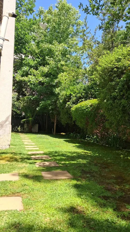 Foto 15 de 19: trabajo de jardinería en un condominio