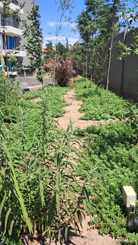 Foto 19 de 19: trabajo de jardinería en un condominio